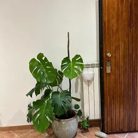 Apartmán Le Tre Orchidee Florencie