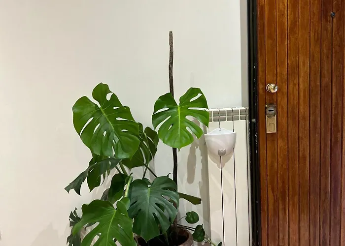 Apartment Le Tre Orchidee Florence